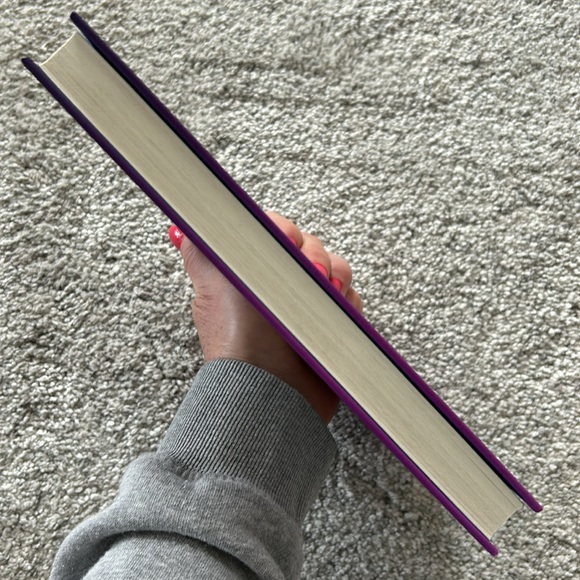 Diary of a Wimpy Kid The Meltdown by Jeff Kinney - Picture 4 of 4